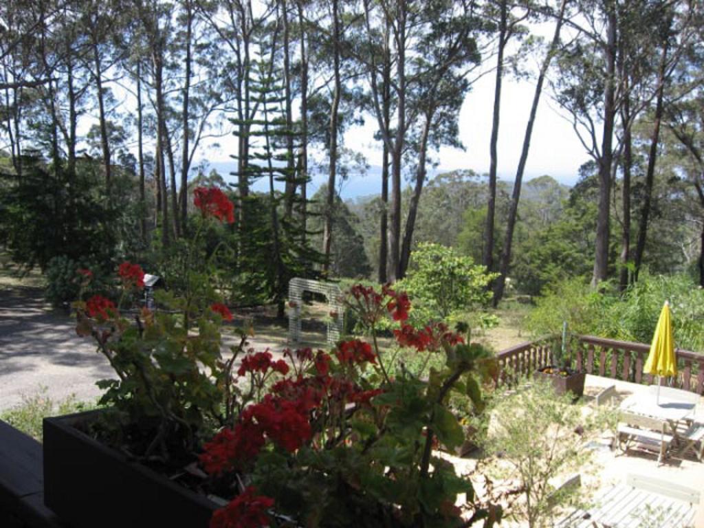 Chalet Swisse Spa Malua Bay Buitenkant foto